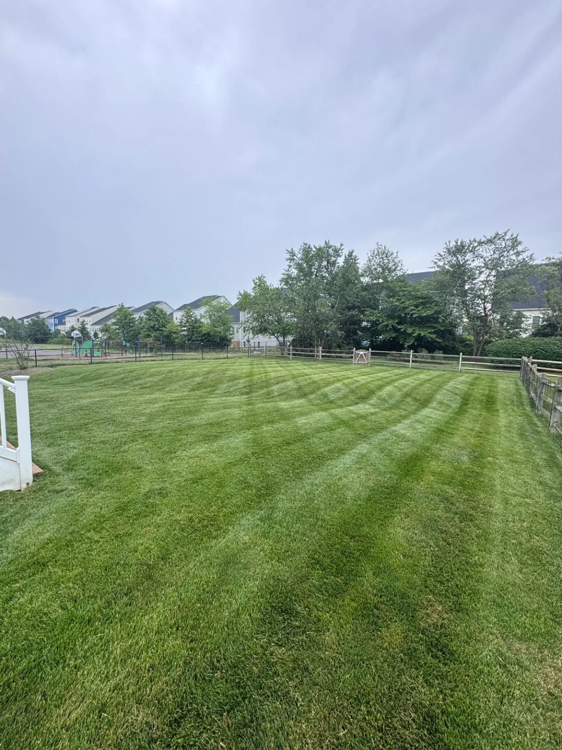 Freshly mowed residential lawn with defined mowing lines