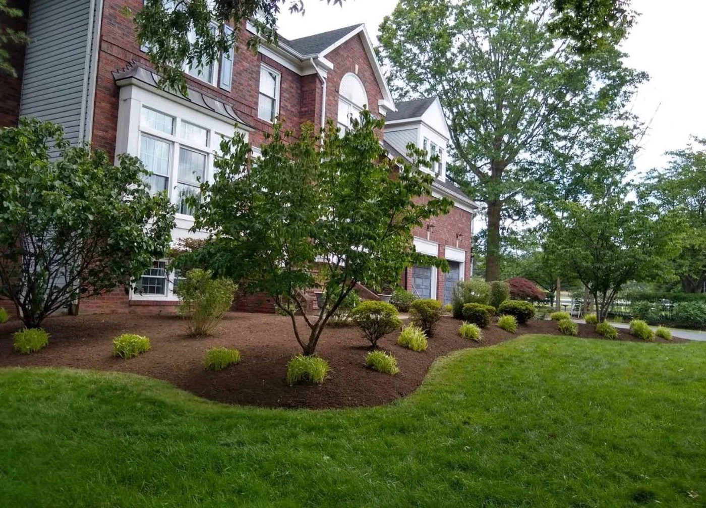 Fresh black mulch installed around shrubs and landscape beds