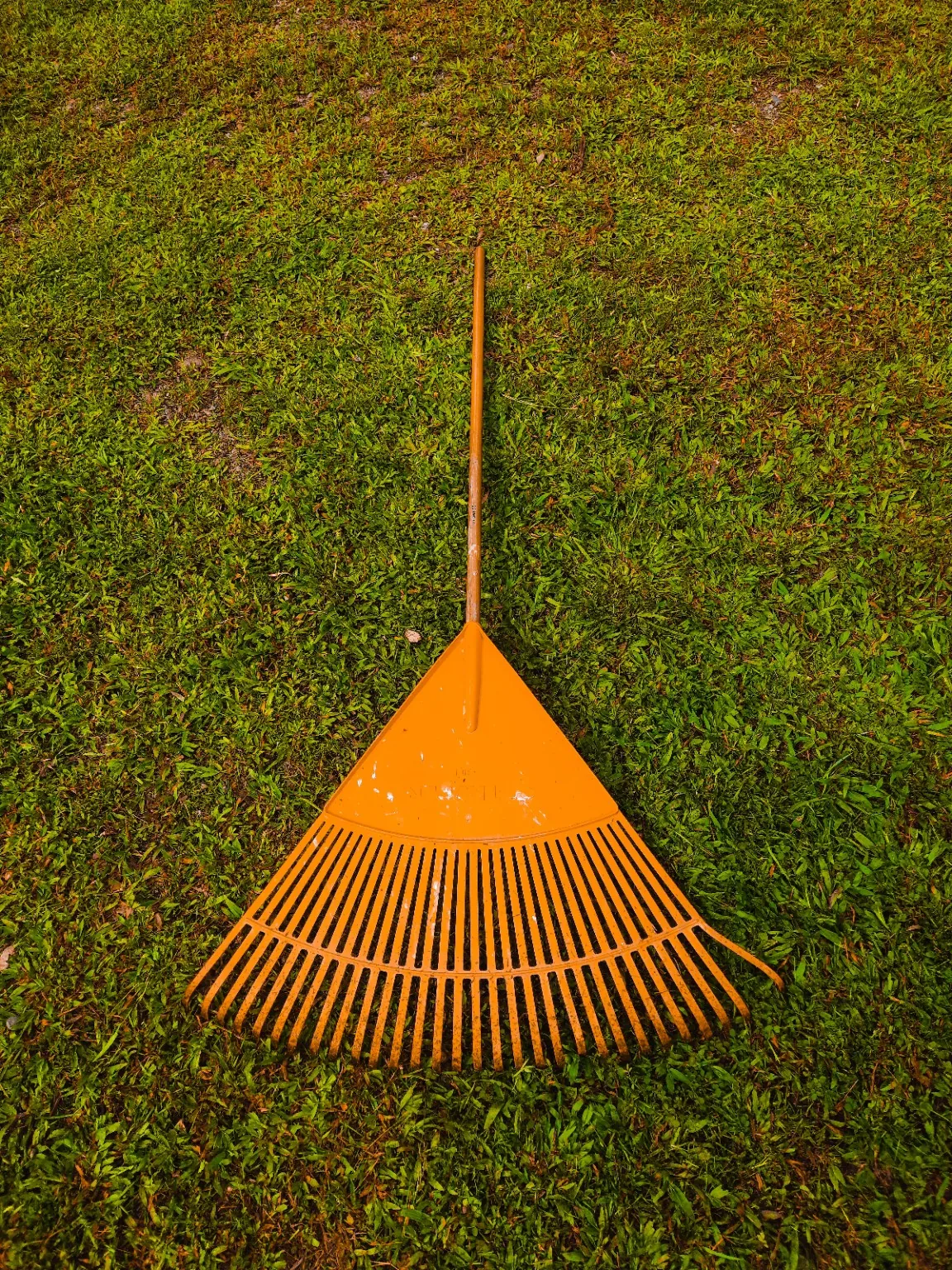 Yard cleanup service