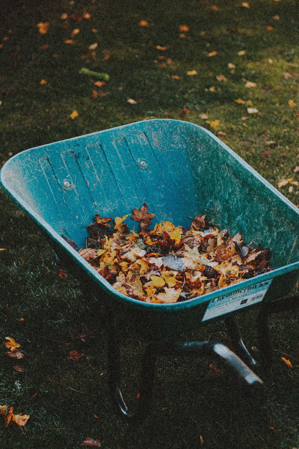 Leaf removal service