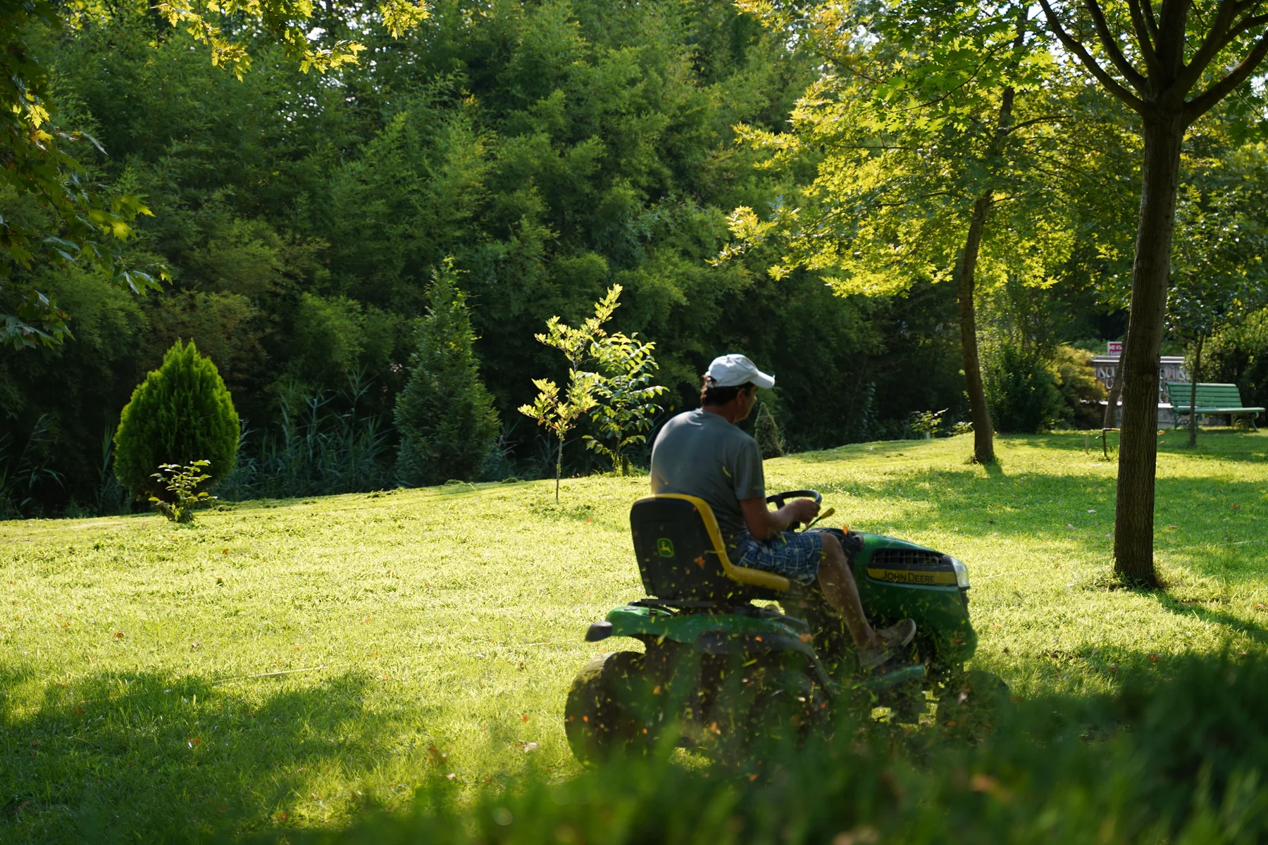 Professional landscape maintenance